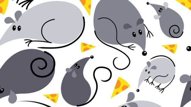 Ilustração: ratos