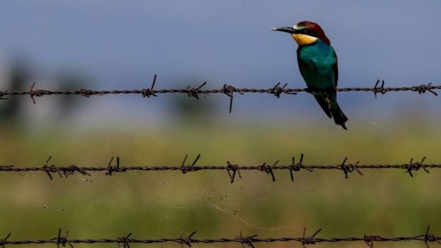 சூழலியல் மீதான போர்: