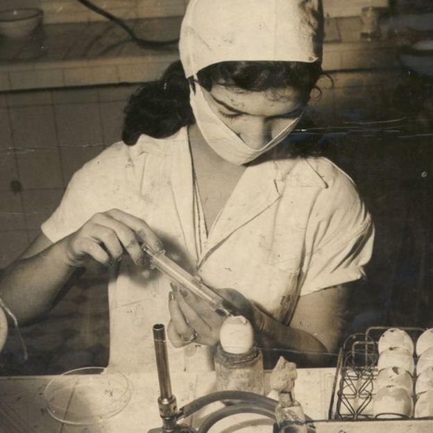 Técnica da Fundação Oswaldo Cruz trabalhando na produção de vacina contra o tétano, março de 1963.