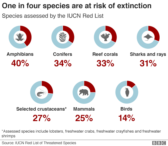 Nature Crisis Humans Threaten 1m Species With Extinction - 