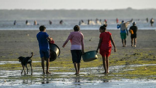 Guajira