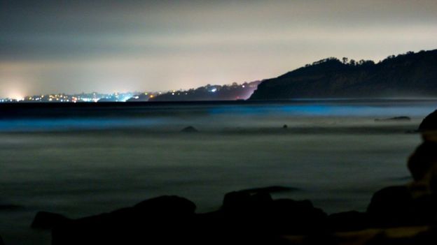 Blue Sea Waves