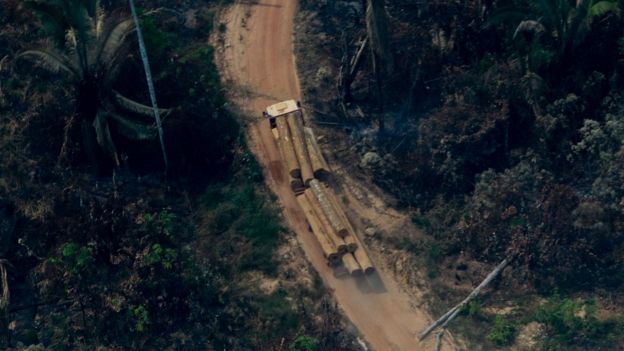 Aerial view showing a truck carrying tree trunks along a road in a deforested area in the surroundings of Boca do Acre, a city in Amazonas State, in the Amazon basin in northwestern Brazil,