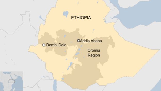 Dembi Dolo University in Ethiopia's Oromia region