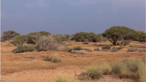 تعاني غالبية دول المنطقة من شدة الجفاف وندرة الموارد المائية