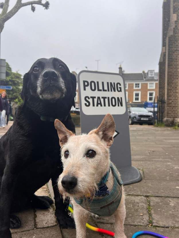 Black labrador Dax and Cookie the terrier went out to a polling station in Putney, London