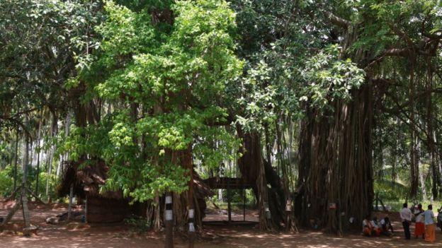 'மினி கோடம்பாக்கம்'