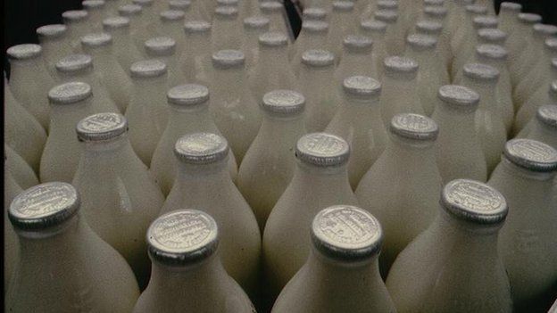 Milk bottles on production line