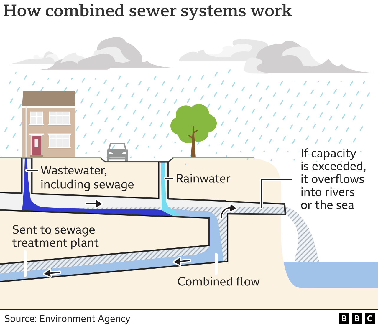 Why is raw sewage pumped into the sea? BBC News