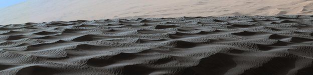 _100532609__100519103_925e873f-f50f-45c0-b78b-265ef53fea1b.jpg
