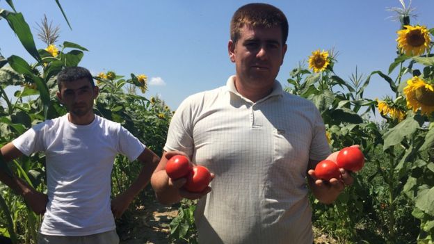İlham Məmmədov, alver&ccedil;i