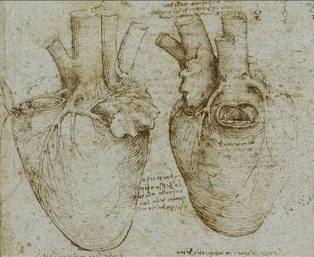Desenhos anatômicos de Da Vinci