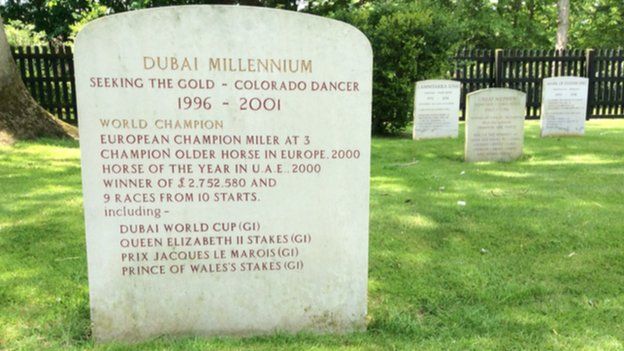 Dubai Millennium