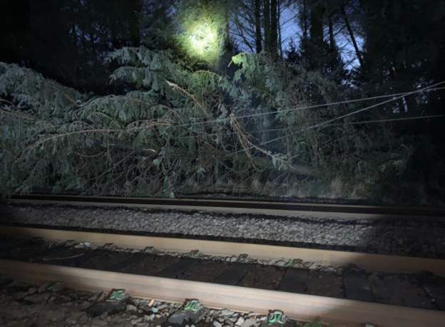 A fallen tree blocks the railway line at Beattock