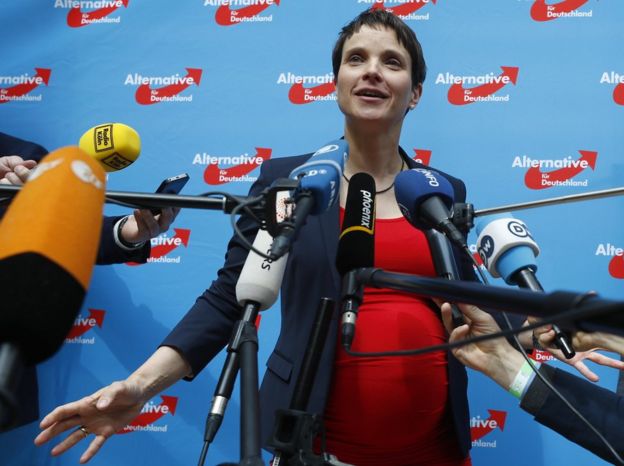 Frauke Petry, pregnant and surrounded by microphones against a backdrop of AfD logos