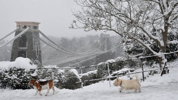 Snowy Scenes Across The UK - BBC News