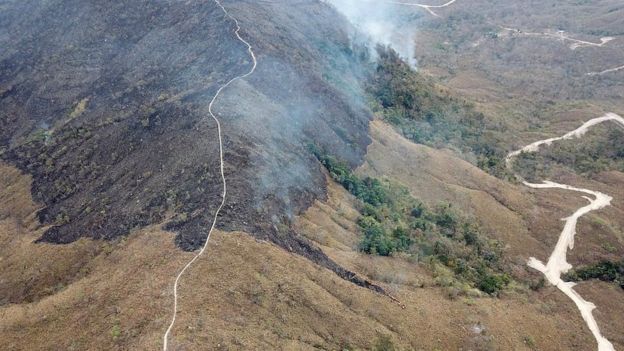 Área deforestada de la Amazonía