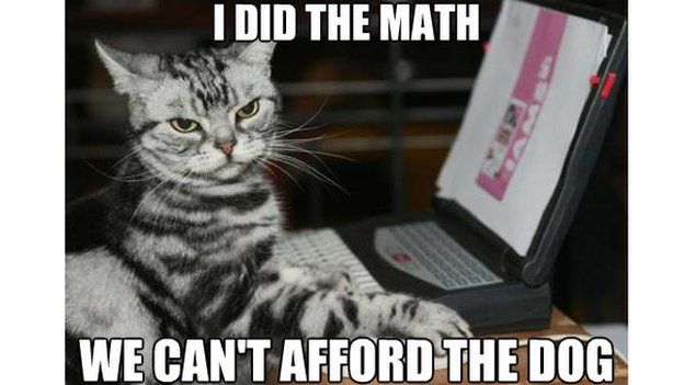 Lolcat memes like this one were among the first to spread virally on social media