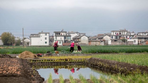 China ha logrado reducir las tasas de suicidio entre mujeres de zonas rurales. Foto: Getty Images