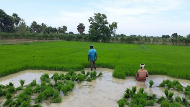 #BBCTamilPhotoContest