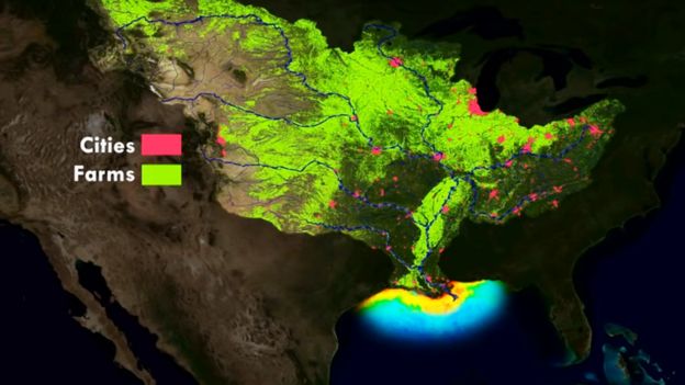 Ilustración que muestra las áreas urbanas y zonas agrícolas que producen las sustancias que descargan los ríos en el Golfo de México