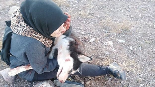 Sahba Barakzai e a cachorra depois de ela ser morta
