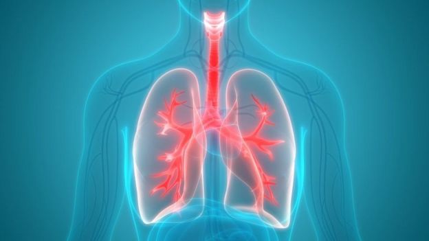 உடல் பருமன்