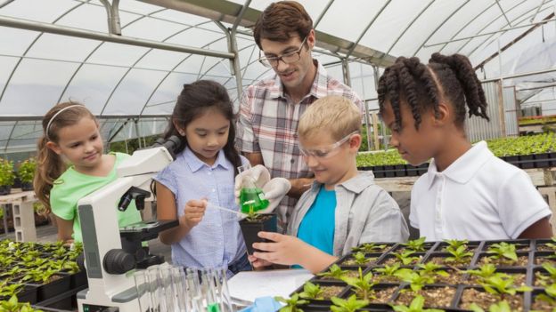 Niños con un maestro en un vivero.