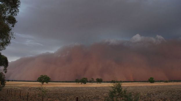 Huge dust cloud seen on the horizon in the town of Trundle in New South Wales