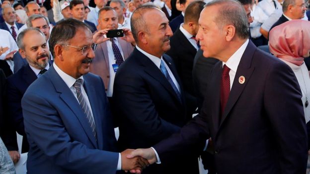 OZHASEKI V ERDOGAN