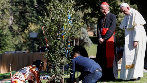 Papa acompanha plantio de árvore