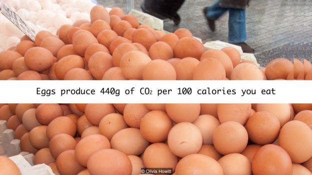 Trứng sản sinh ra 440g CO2 mỗi 100 calories ta ăn