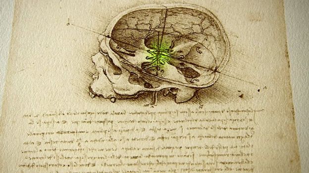 Cráneo dibujado por Leonardo da Vinci