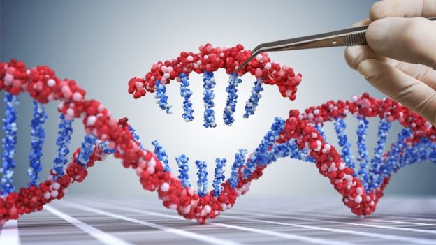 Altering DNA Artwork: The pair developed tools that allow the code of life to be rewritten