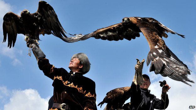 Traditional Kyrgyz berkutchi (eagle hunter) launches his bird in village of Tyup, May 2011