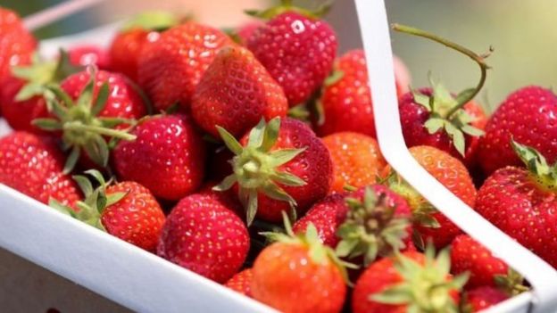 பழங்கள்