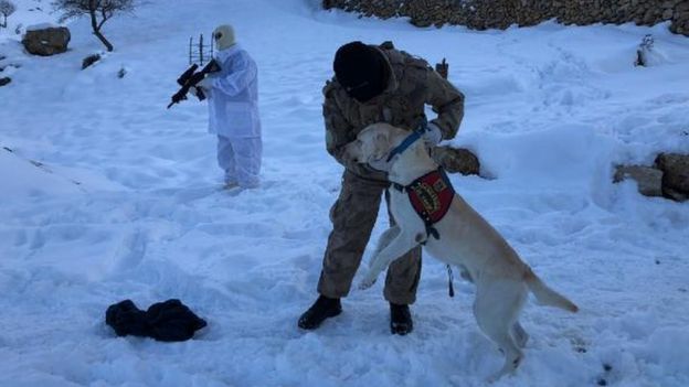 Beytüşşebab'daki arama faaliyetlerine Jandarma Özetil timleri de katıldı.