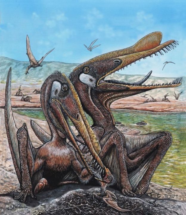 Pterossauros