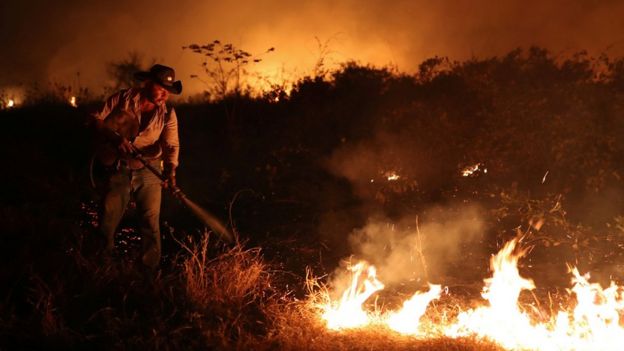Incendio no Pantanal
