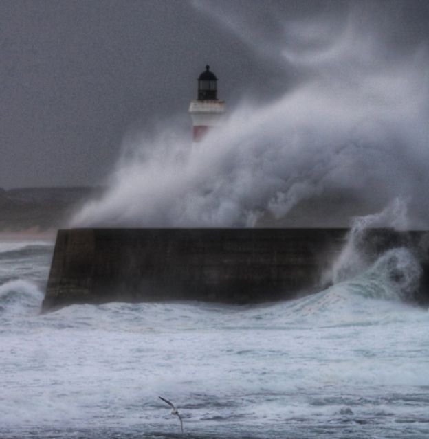 Your pictures of Scotland: 13 October - 20 October - BBC News