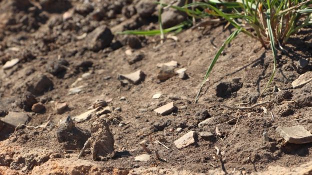 Fragmentos arqueológicos em terra preta, removidos pela terraplanagem