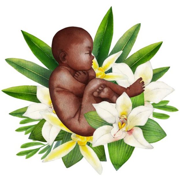 Ilustração mostra bebê em posição fetal em meio a flores e folhas de planta