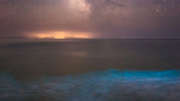 Incredible sea sparkle pictures in Swansea - BBC Newsround