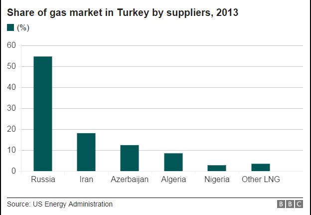 Graph showing share of gas market in Turkey