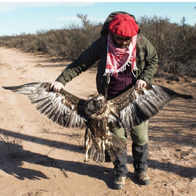 El científico argentino que recorre miles de kilómetros para proteger al águila  del Chaco, una de las más misteriosas de Sudamérica