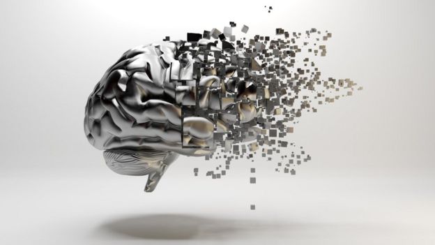 cerebro