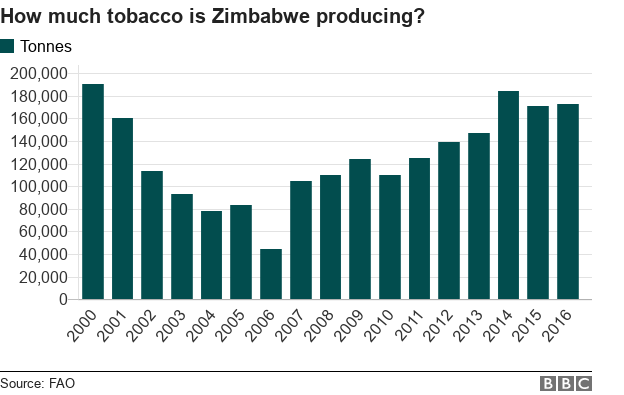 Graph showing tobacco production in tonnes between 2000 and 2016