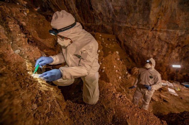 Los científicos tomaron muestras de los sedimentos de la cueva en busca de ADN