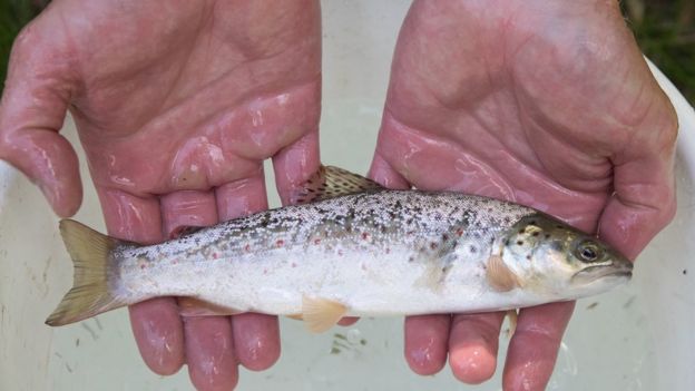 சித்தரிப்புப் படம்