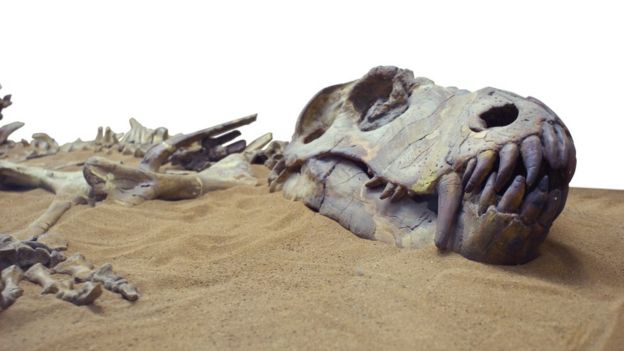 Fósil de dinosaurio